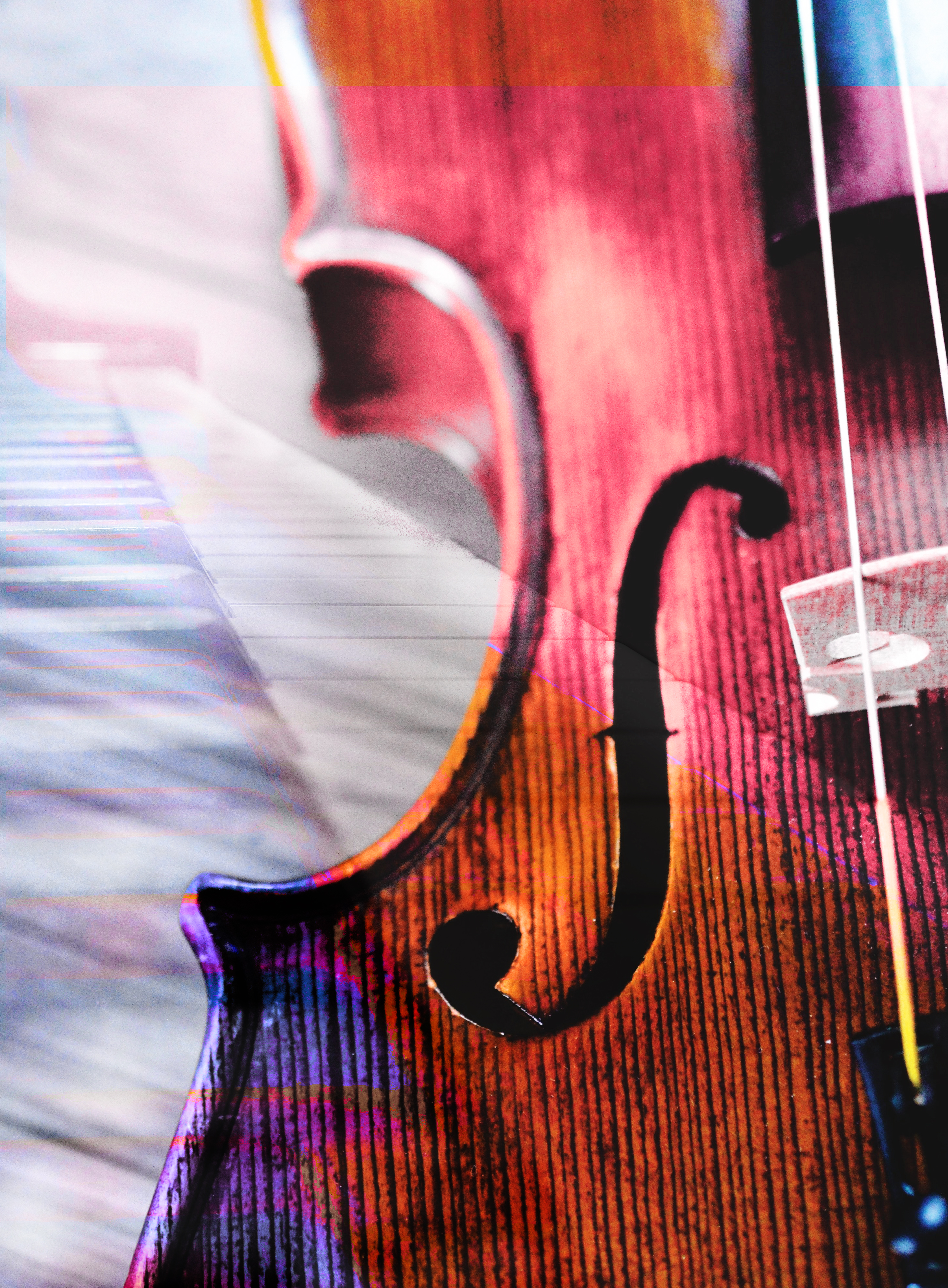 close up of the edge of a violin